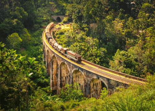 Top Places to Visit in Sri Lanka That Will Make You Fall in Love With the Island!